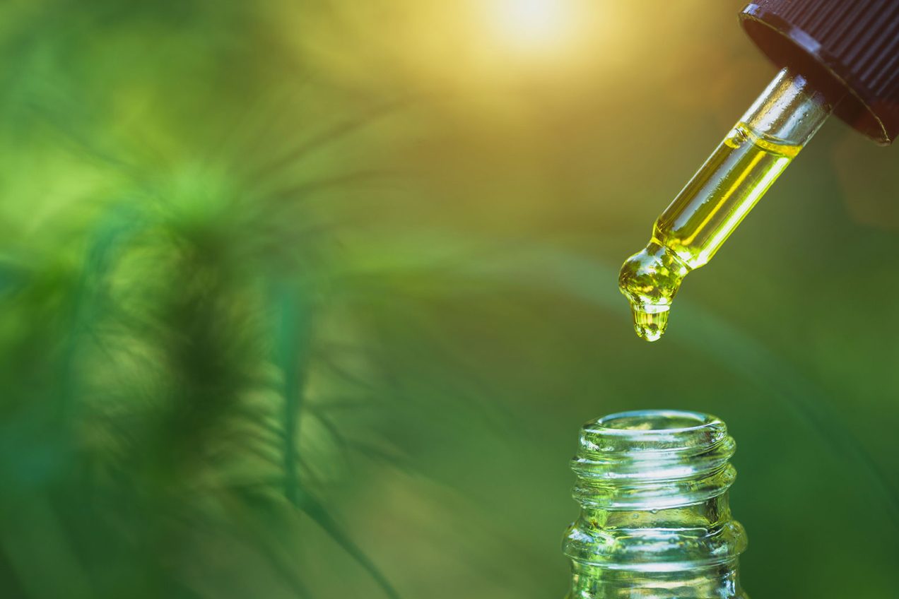 Where to Buy Full Spectrum CBD Oil in Canada: Top Retailers