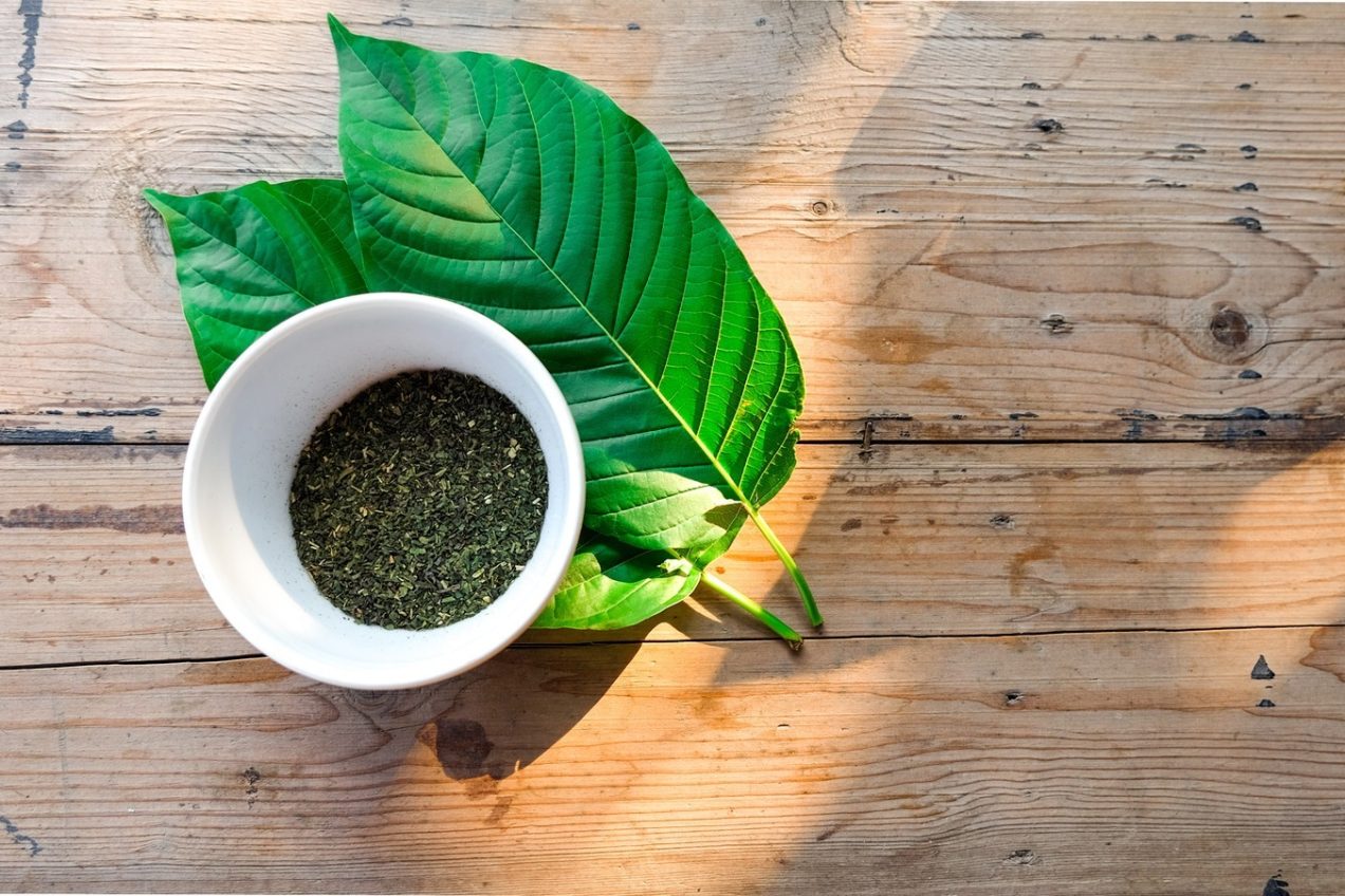 CBD vs. Kratom: Which One Is Right for You?